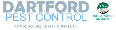 Dartford Pest Control